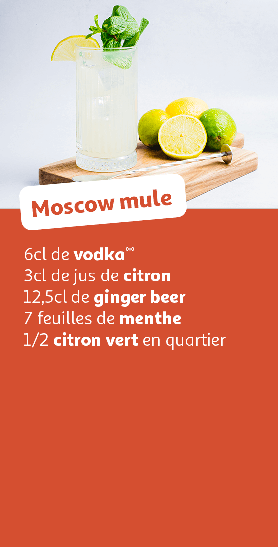 Cocktail Moscow Mule à la Vodka, citron vert et ginger beer